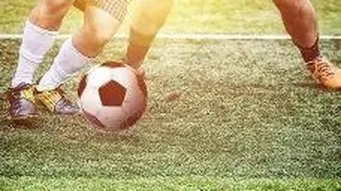 孙颖莎、林诗栋并肩领先国际乒联2025年2月26日全球排名