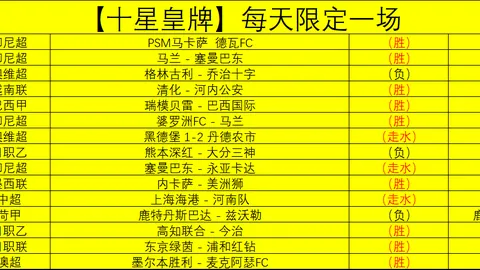 纳达尔门生激战，伊埃拉力克斯维亚特克夺冠